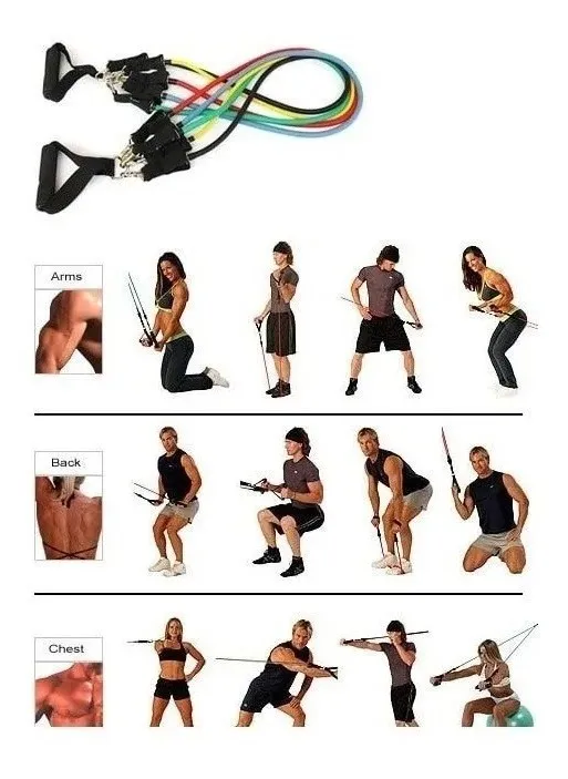 Set de ligas de resistencia profesional 5 niveles