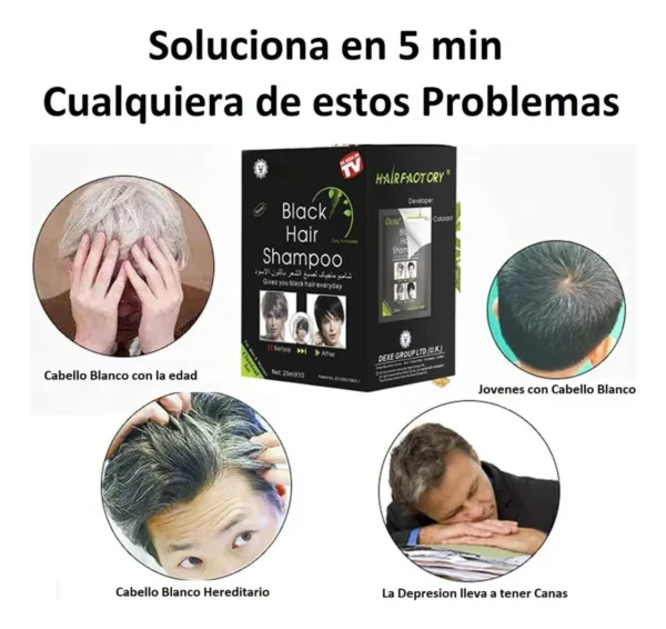 Shampoo Anticanas Dexe Negro4 Shampoo Anticanas Dexe Negro